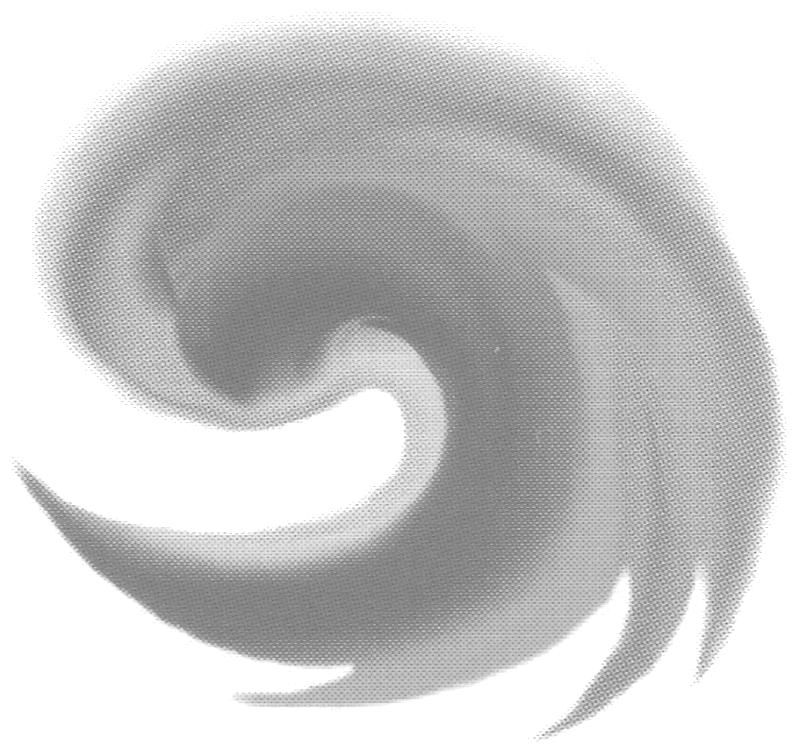 Logo gross_bw