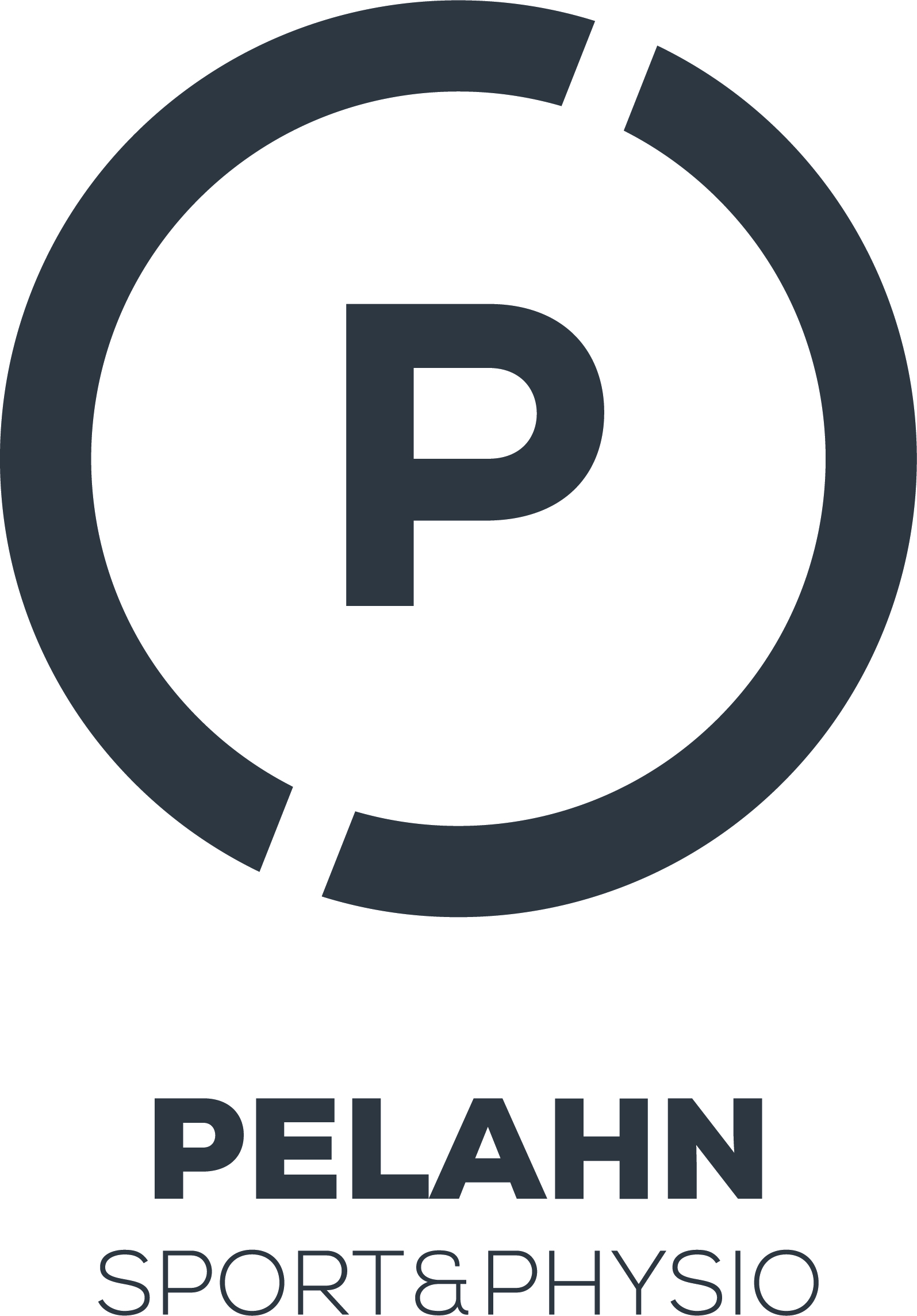 Pelahn_Logo_grau_transparent