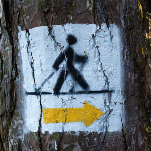 Outdoor Walking